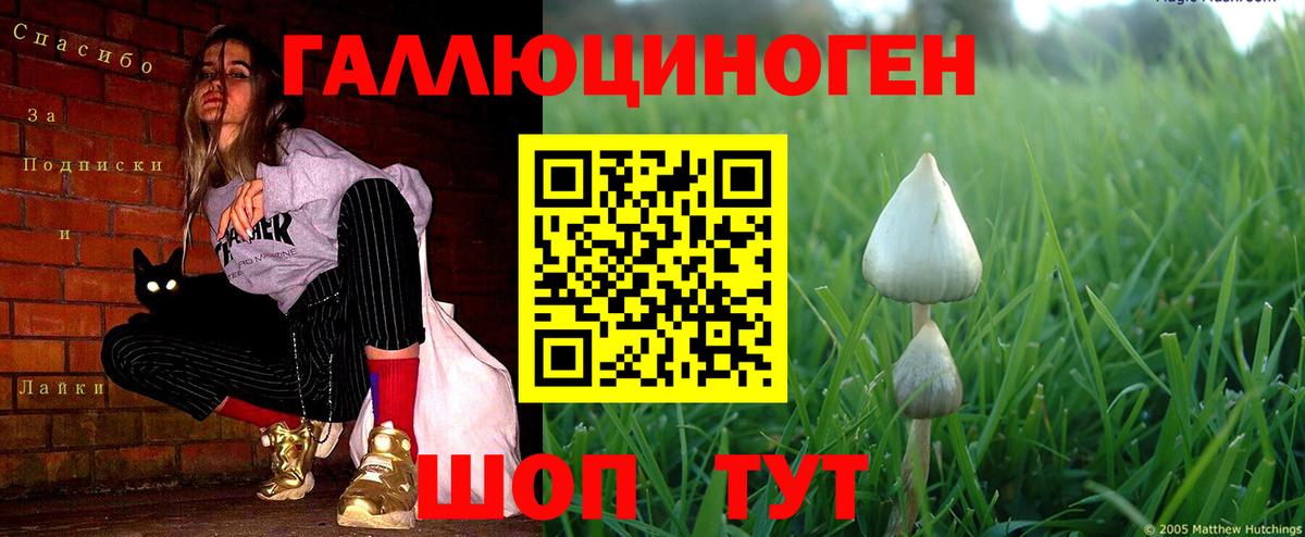 Галлюциногенные грибы мухоморы Узловая